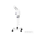 Pro Hot & Cold Ozone Vaporizer Facial Steamer