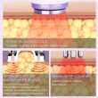 9in1 Aristorm Cavitation Lipo Laser Beauty Equipment
