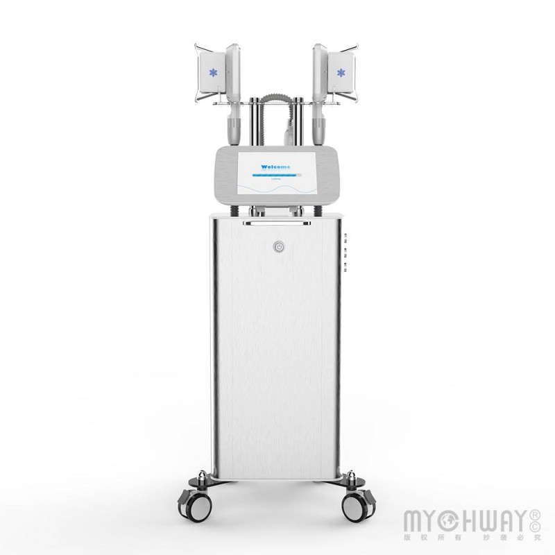 3 Handles Freezing Weight Loss Machine Double Chin Removal Body Cold Slimming