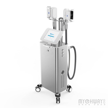 Standing Fat Freezing Slimming Beauty Machine