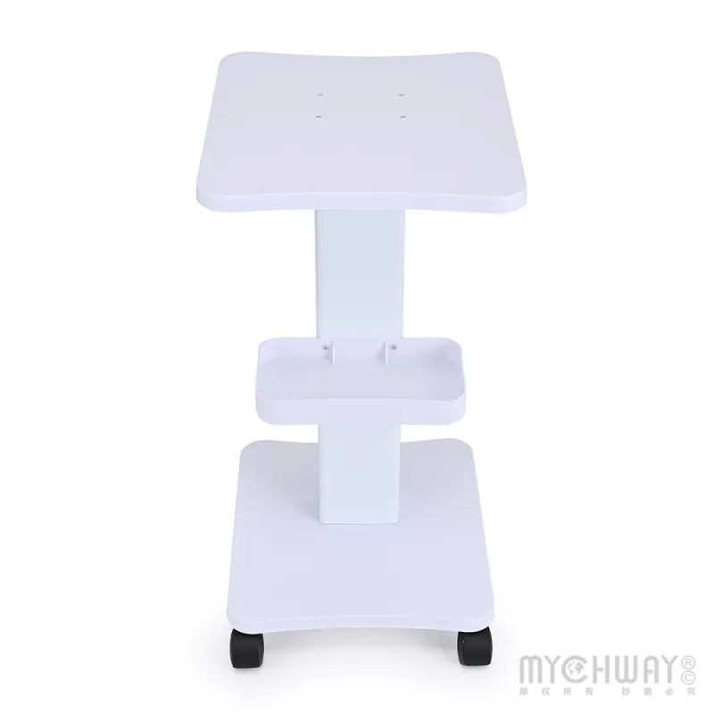 Rolling Trolley Cart Beauty Salon SPA Storage Equipment Machine Organizer Stand