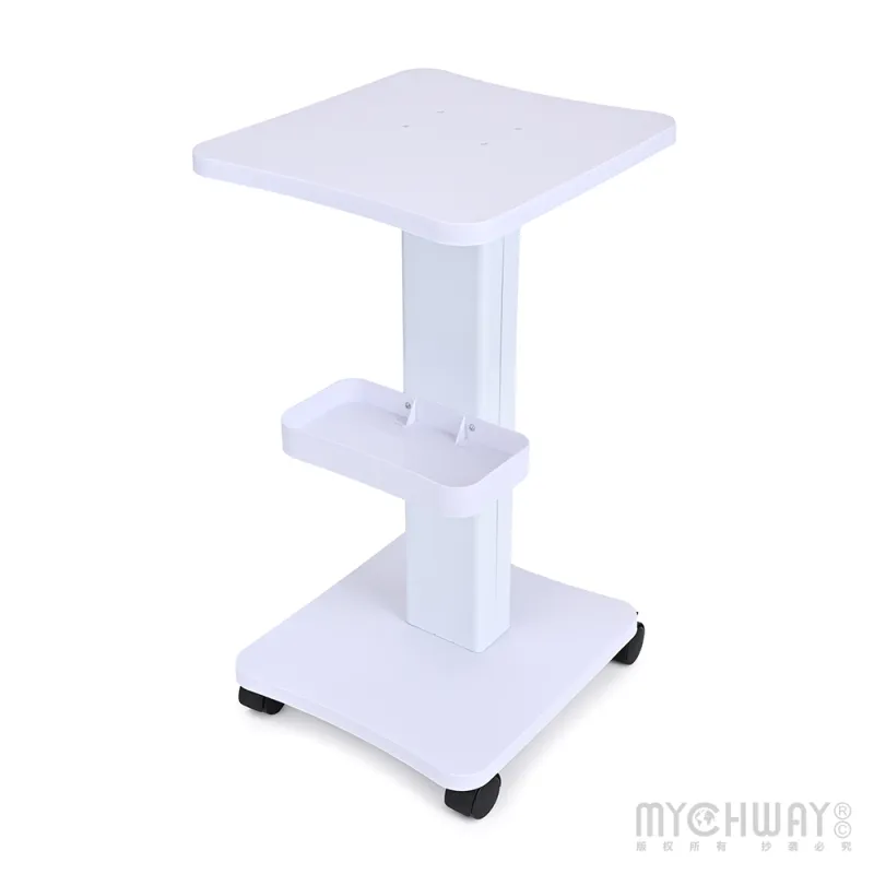 Rolling Trolley Cart Beauty Salon SPA Storage Equipment Machine Organizer Stand