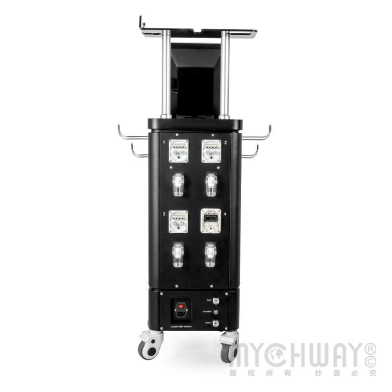 Pro Body Freezing Machine With 4 Freezing Applicators