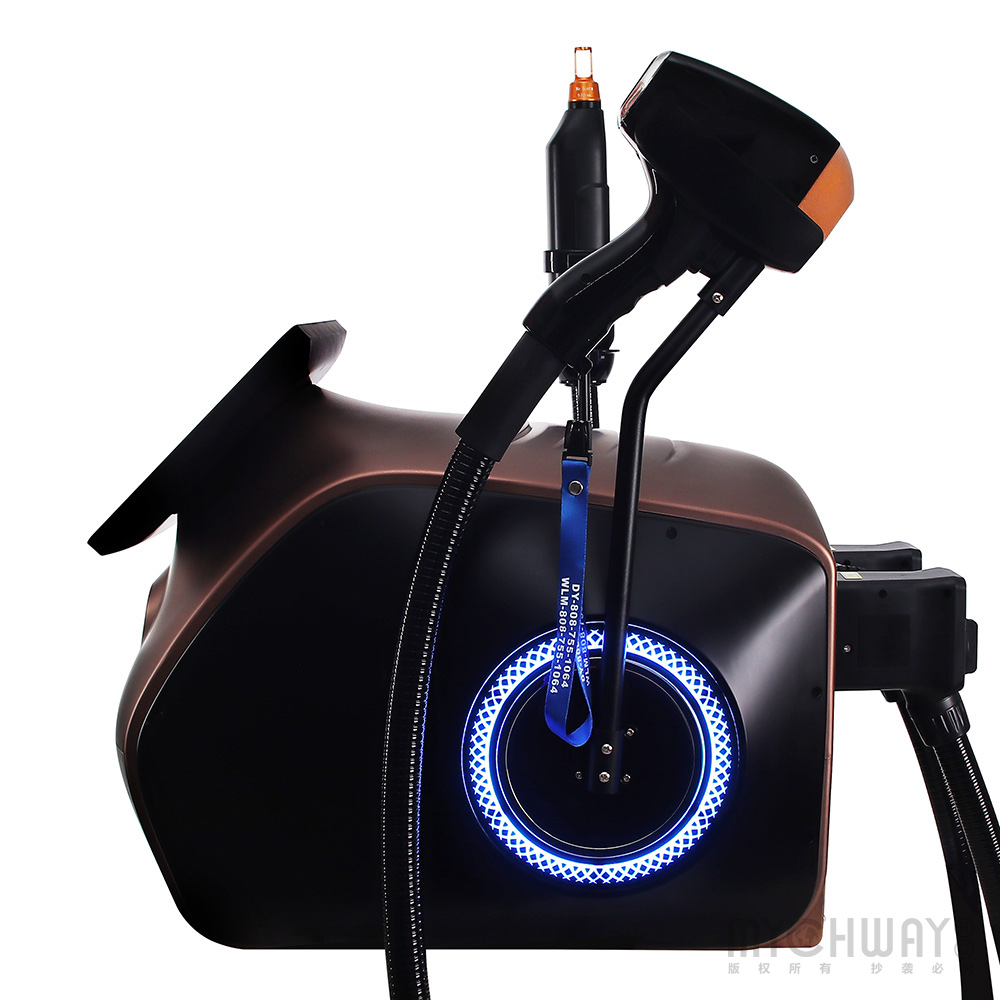2 In 1 Diode Laser Hair Removal Machine Picosecond Tattoo Removal Instrument