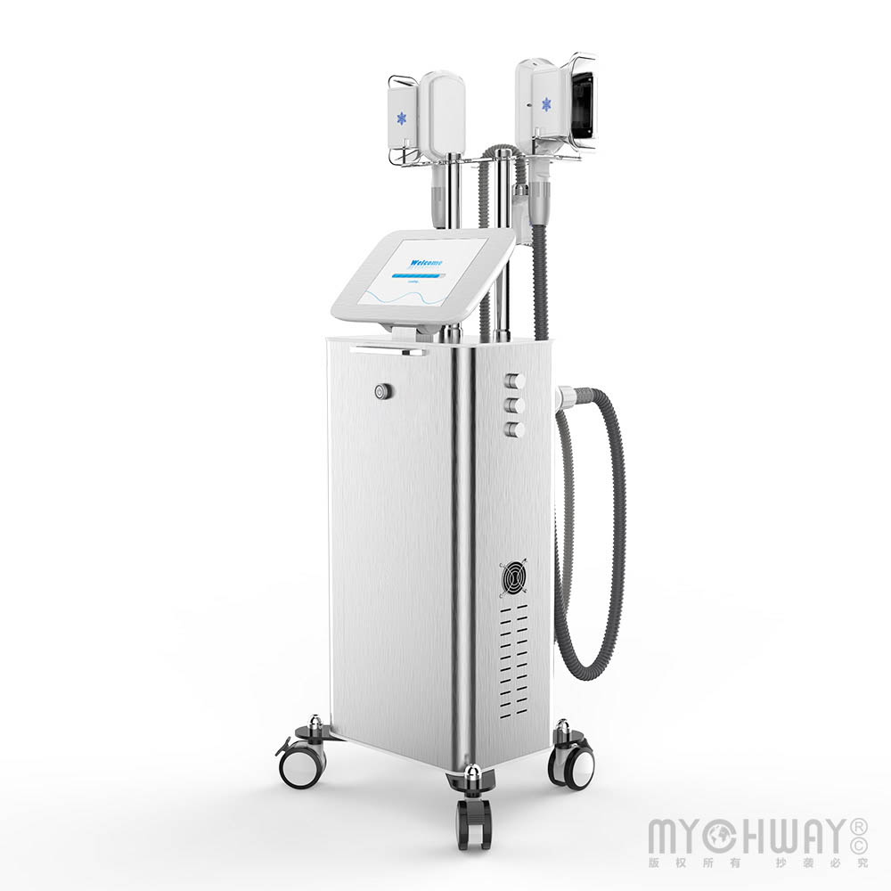 3 Handles Freezing Weight Loss Machine Double Chin Removal Body Cold Slimming