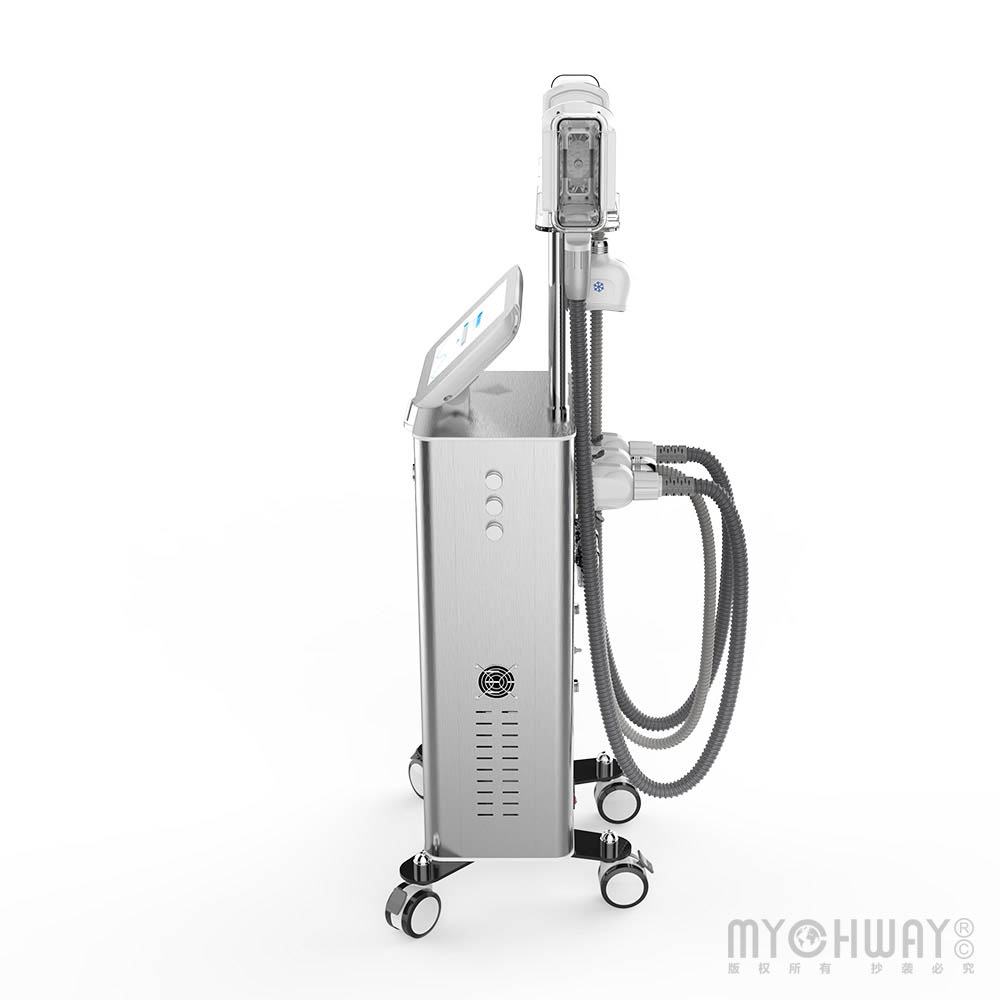 3 Handles Freezing Weight Loss Machine Double Chin Removal Body Cold Slimming