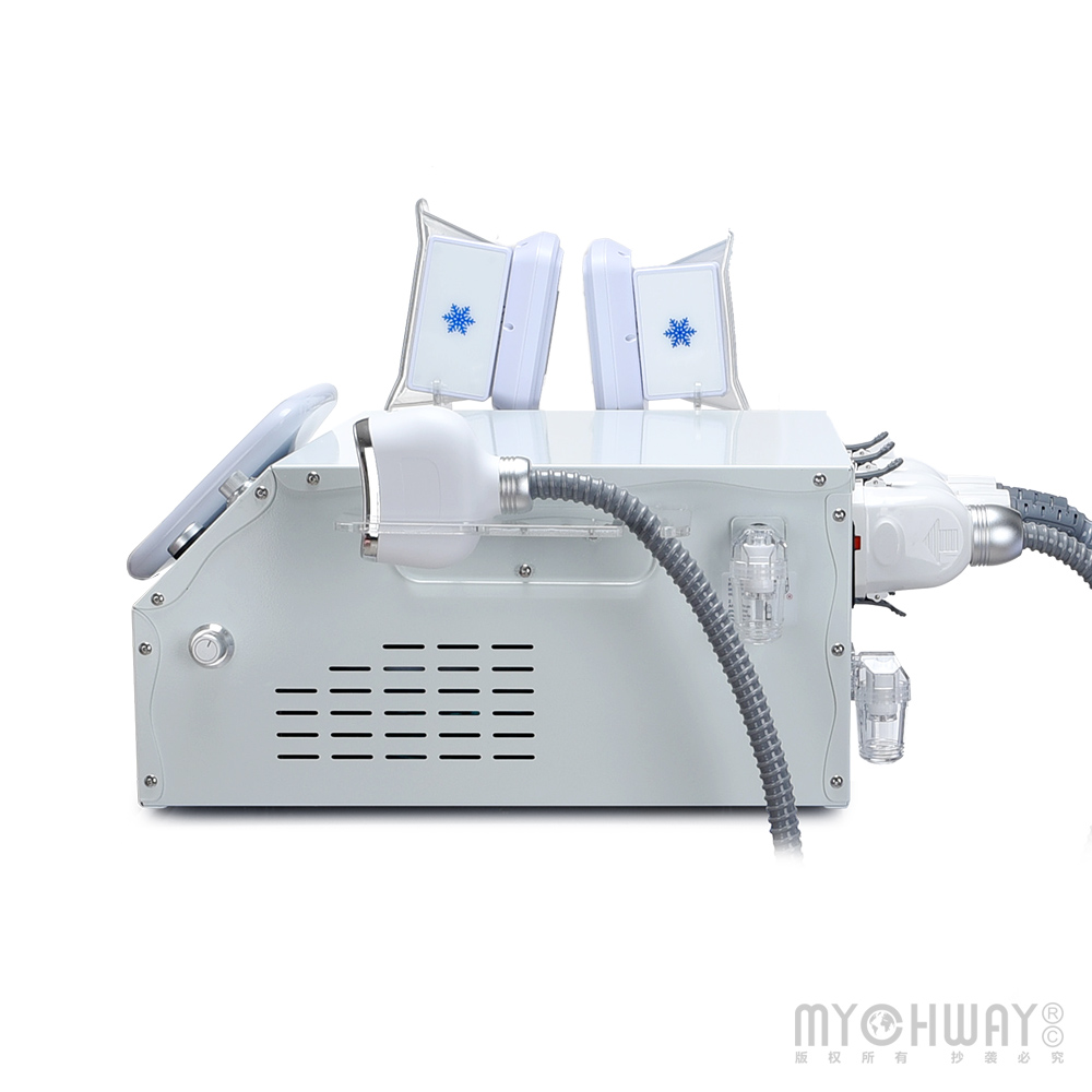 Cold Freezing Machine For Body Contouring 3 Handles