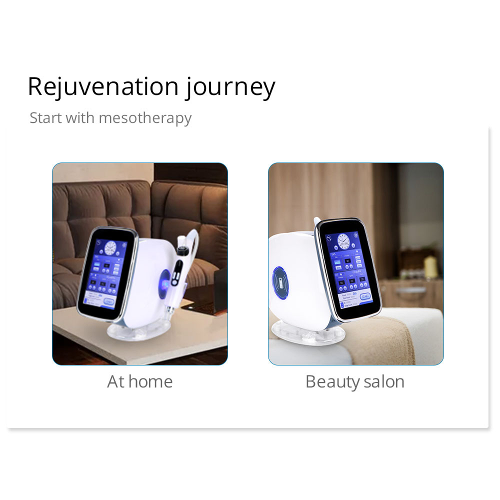 2 In 1 EMS R-F Mesotherapy Machine With Nano Injector