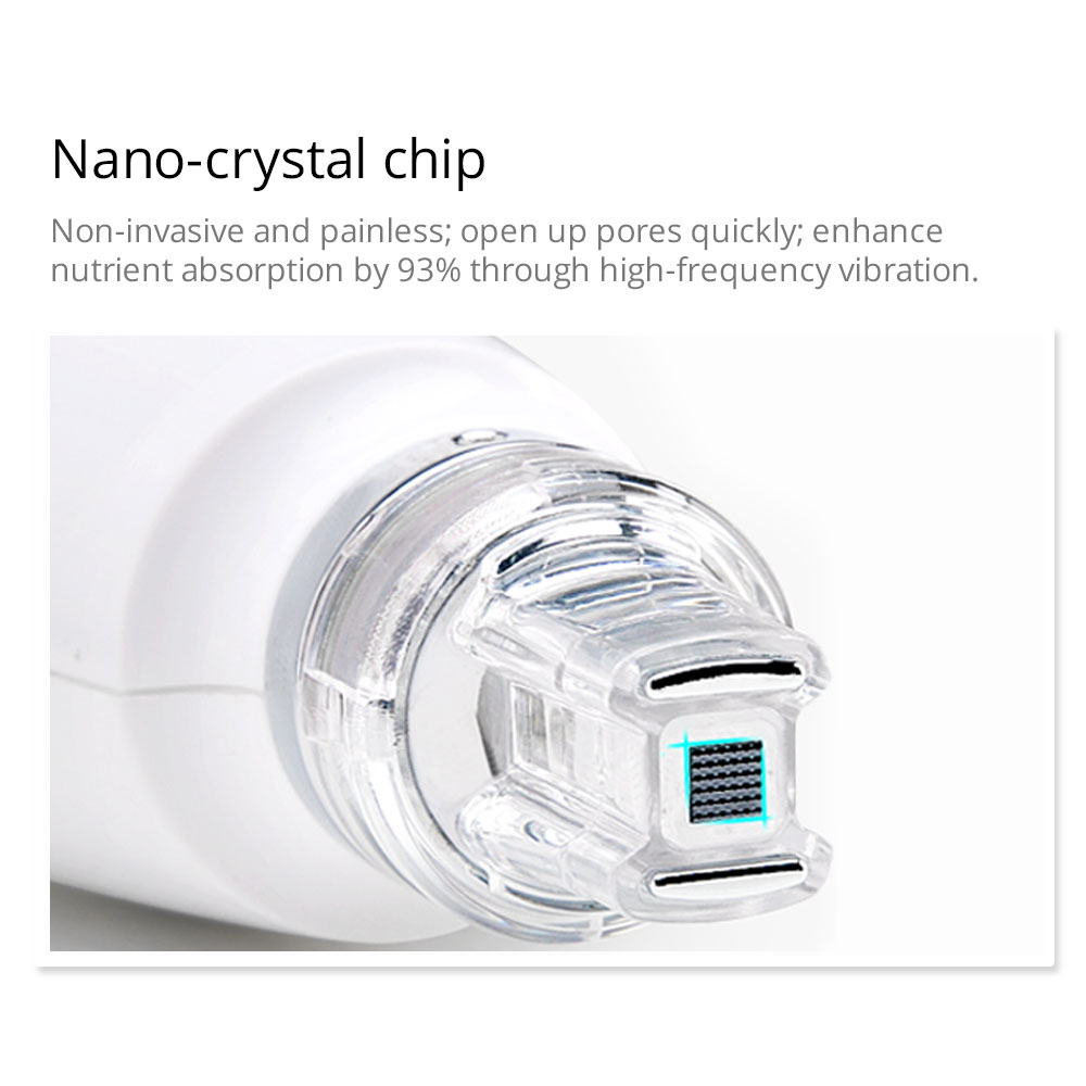2 In 1 EMS R-F Mesotherapy Machine With Nano Injector