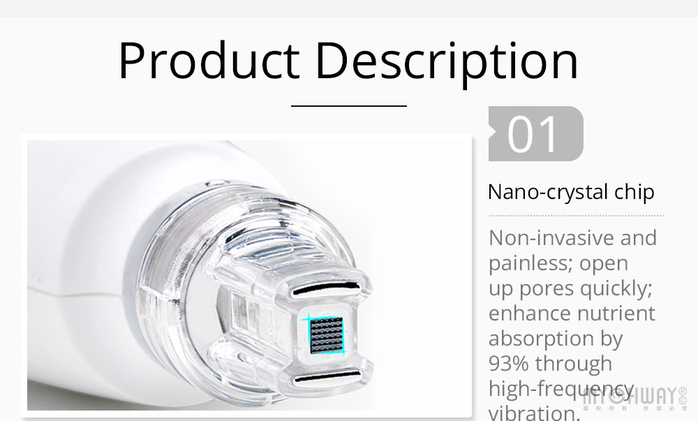 2 In 1 EMS R-F Mesotherapy Machine With Nano Injector