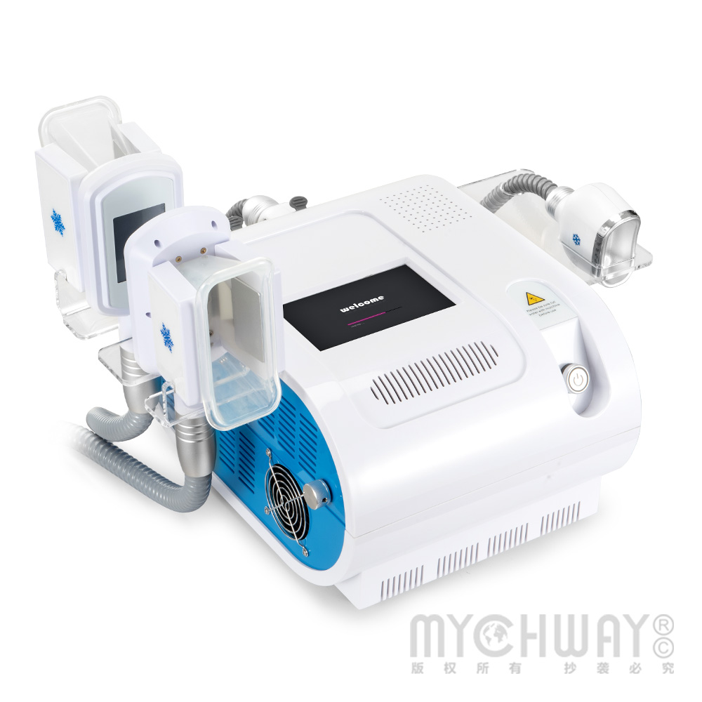  3 Handles Cold Freezing Machine Fat Reduction