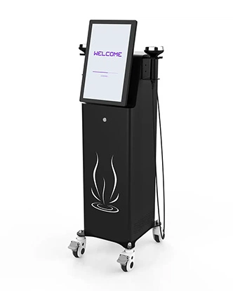 Professional Standing EMS Postpartum Recovery System for Pelvic Floor Repair